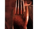 Buddha\'s Hand
