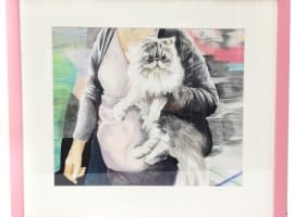 pink persian cat